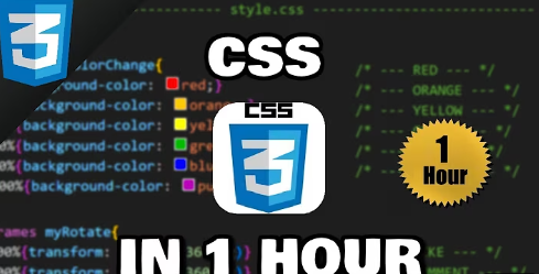 Css Course